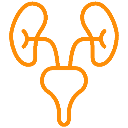 urology